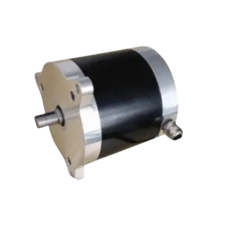 BL100 elektrický vysokozdvižný motor o průměru 100 mm s 24VDC 300W